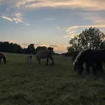 Дом отдыха Swierkowe Ranczo Raciszewo