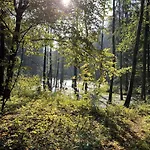 Swierkowe Ranczo