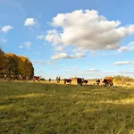 Swierkowe Ranczo * Raciszewo