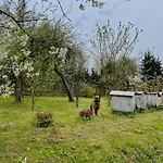 Swierkowe Ranczo Raciszewo