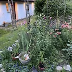 Swierkowe Ranczo Дом отдыха Raciszewo