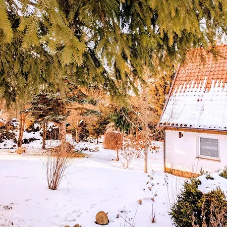 Swierkowe Ranczo Ferienhaus Raciszewo