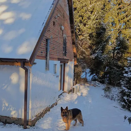 Swierkowe Ranczo Raciszewo