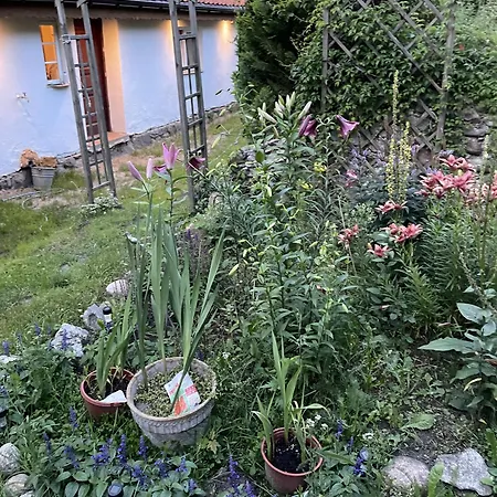 Swierkowe Ranczo Holiday home Raciszewo