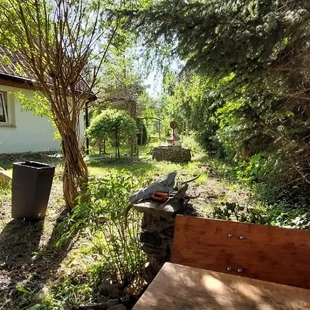 Holiday home Swierkowe Ranczo