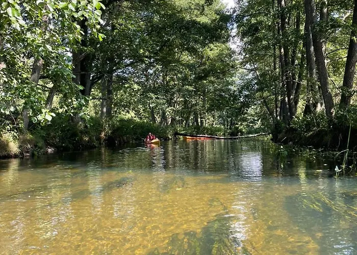 Swierkowe Ranczo Raciszewo