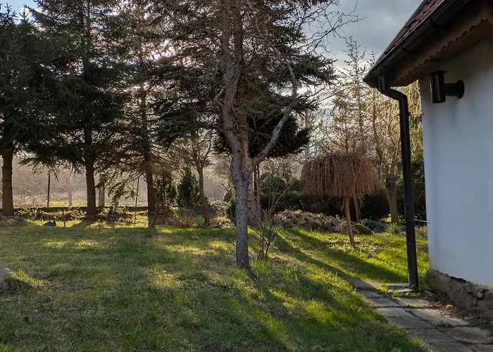 Swierkowe Ranczo Дом отдыха Raciszewo