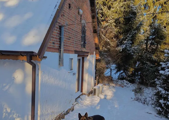 Swierkowe Ranczo Raciszewo