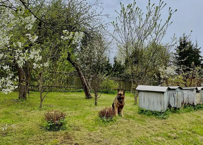 Swierkowe Ranczo Raciszewo