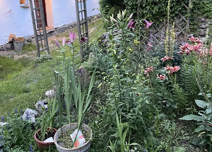 Swierkowe Ranczo Дом отдыха Raciszewo