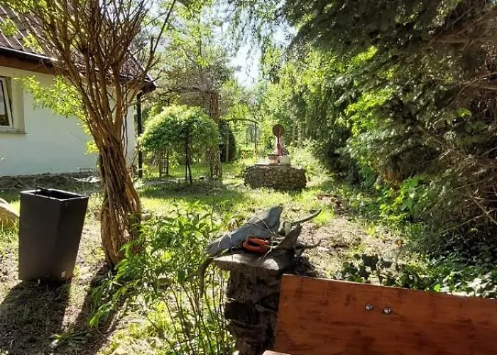 Дом отдыха Swierkowe Ranczo